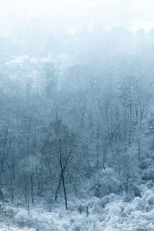 Reigate Professional Photographer Winter landscape